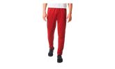 Tiro17 Training Pant "Team Maroon / Black" D94749