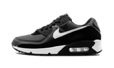 Air Max 90 "Iron Grey" CN8490 002