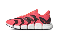 Climacool Vento "Signal Pink" FX7848
