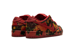 Dunk Low SB "Wizard of Oz" FZ1291 600