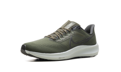Air Zoom Pegasus 39 "Cargo Khaki" DH4071 300