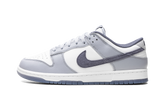 Dunk Low "Light Carbon" FJ4188 100