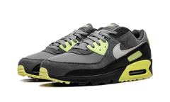 Air Max 90 "Smoke Grey Light Lemon Twist" DM0029 012