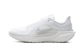 Air Zoom Pegasus 41 "Gore-Tex" FQ1356 101