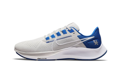 Air Zoom Pegasus 38 "Kentucky" DJ0830 001