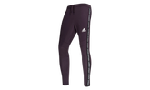 Tiro19 Training Pant "Noble Purple / White" GH6628
