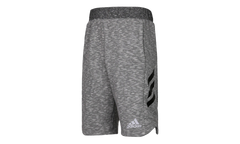 Pick Up Shorts "Grey" CE6959