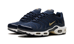 Air Max Plus "FFF" fb3350 400