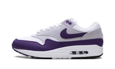 Air Max 1 SC "Field Purple" DZ4549 101
