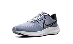 Air Zoom Pegasus 39 "Ashen Slate / Black" DH4071 401