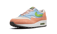 Air Max 1 "Light Madder Root" DV3196 800