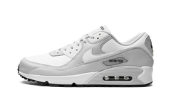 Air Max 90 "Gore-Tex" DJ9779 003