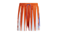 Hoops Summer Essentials Shorts "Eric Emanuel Team Orange" H56397