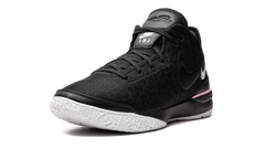 Nike Zoom LeBron NXXT Gen "Black/White" DR8784 003