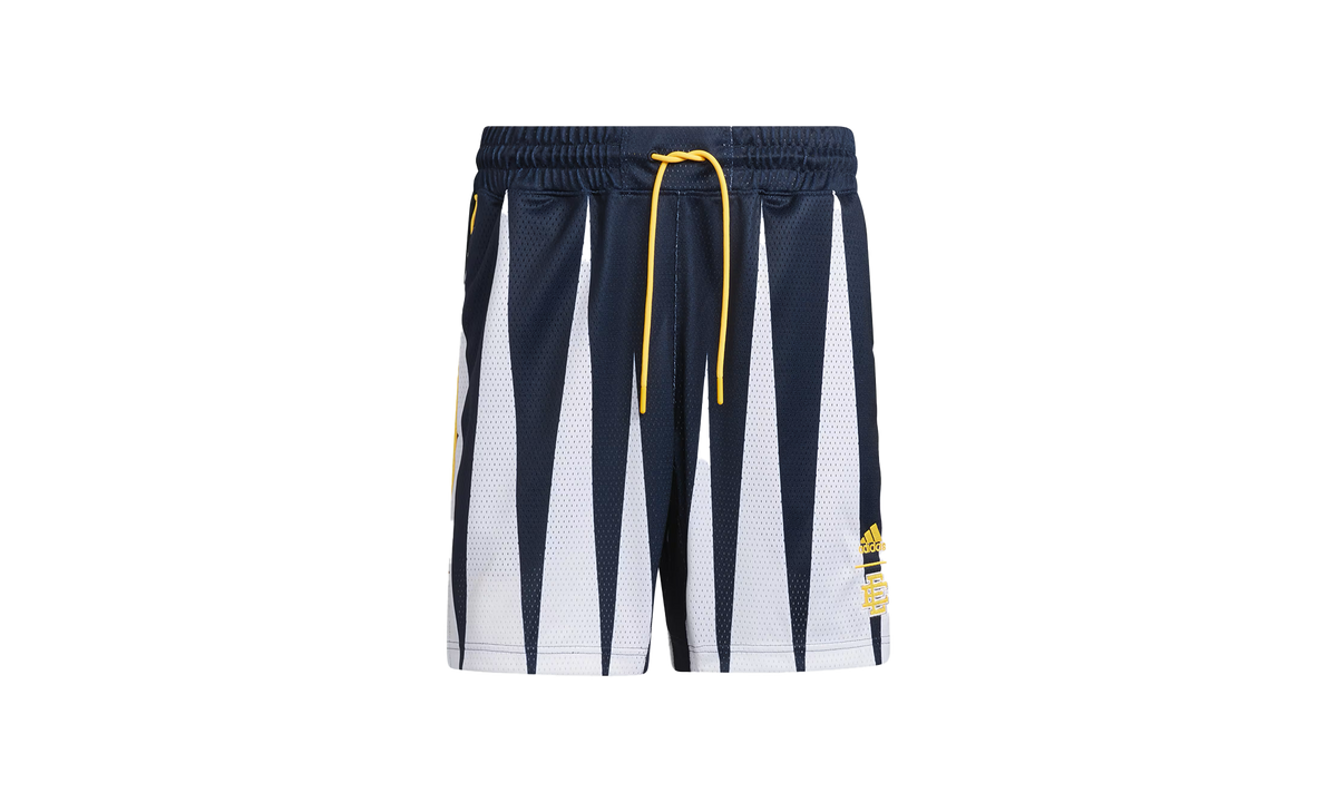 Eric Emanual Hoops Summer Essentials Shorts "Legend Ink" H56398