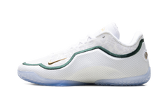 Lebron 23 "From This Point Forward" HJ5629 101