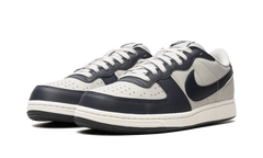 Terminator Low "Georgetown" FN6830 001