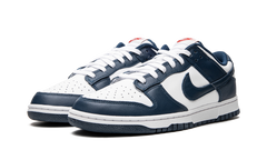 Dunk Low Retro "USA" DD1391 400