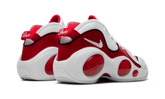 Air Zoom Flight 95 "True Red" DX1165 100