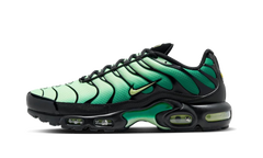 Air Max Plus "Vapor Green Malachite Black Light Lemon Twist" DM0032 301