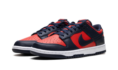 Dunk Low CO.JP "City Attack" DV0833 601