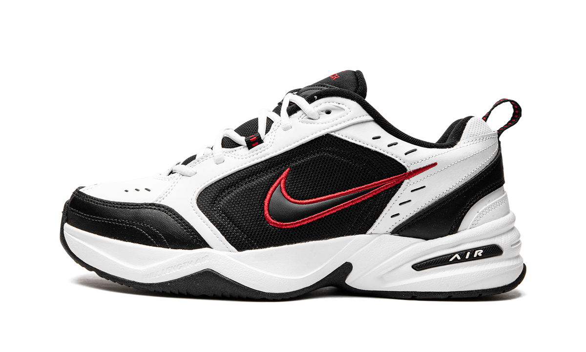 AIR MONARCH IV 415445 101