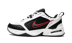 AIR MONARCH IV 415445 101