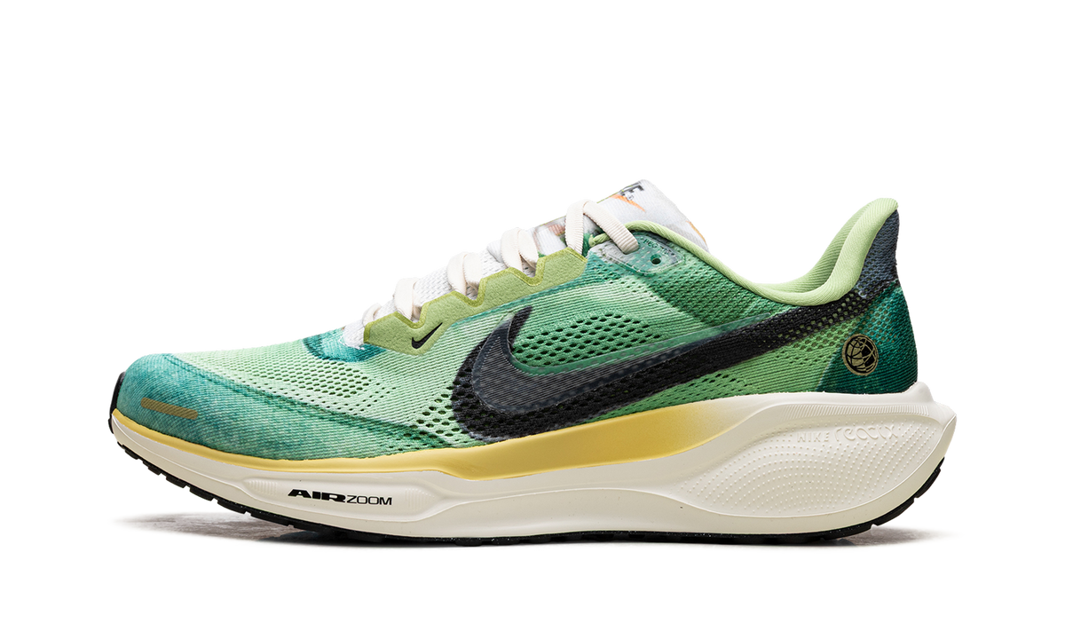 Air Zoom Pegasus 41 "Waffle Racer" IH3583 999