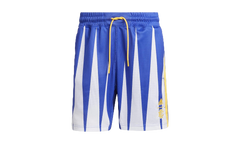 Hoops Summer Essentials Shorts "Eric Emanuel Sonic Ink" H56399