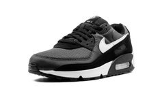 Air Max 90 "Iron Grey" CN8490 002