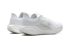 Air Zoom Pegasus 41 "Gore-Tex" FQ1356 101
