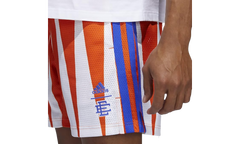 Hoops Summer Essentials Shorts "Eric Emanuel Team Orange" H56397