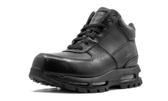 Air Max Goadome "Black" 865031 009