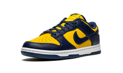 Dunk Low "Michigan" DD1391 700