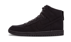 Dunk Lux SP "DSM" 718766 001