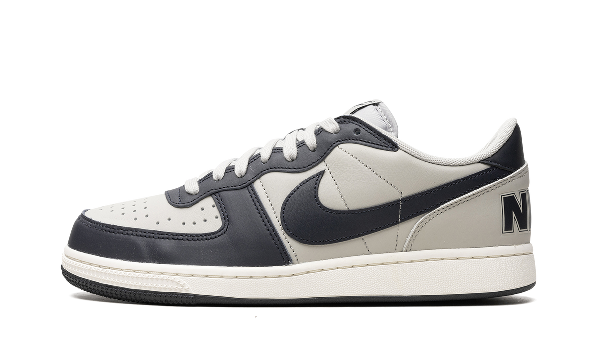 Terminator Low "Georgetown" FN6830 001