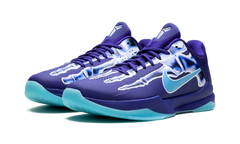 Zoom Kobe 5 Protro "X-Ray" HJ4303 400