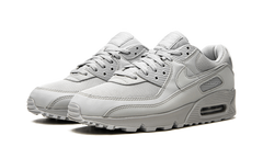 Air Max 90 "Wolf Grey" CN8490 001