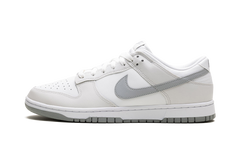 Dunk Low Retro "Summit White Light Smoke Grey" DV0831 106
