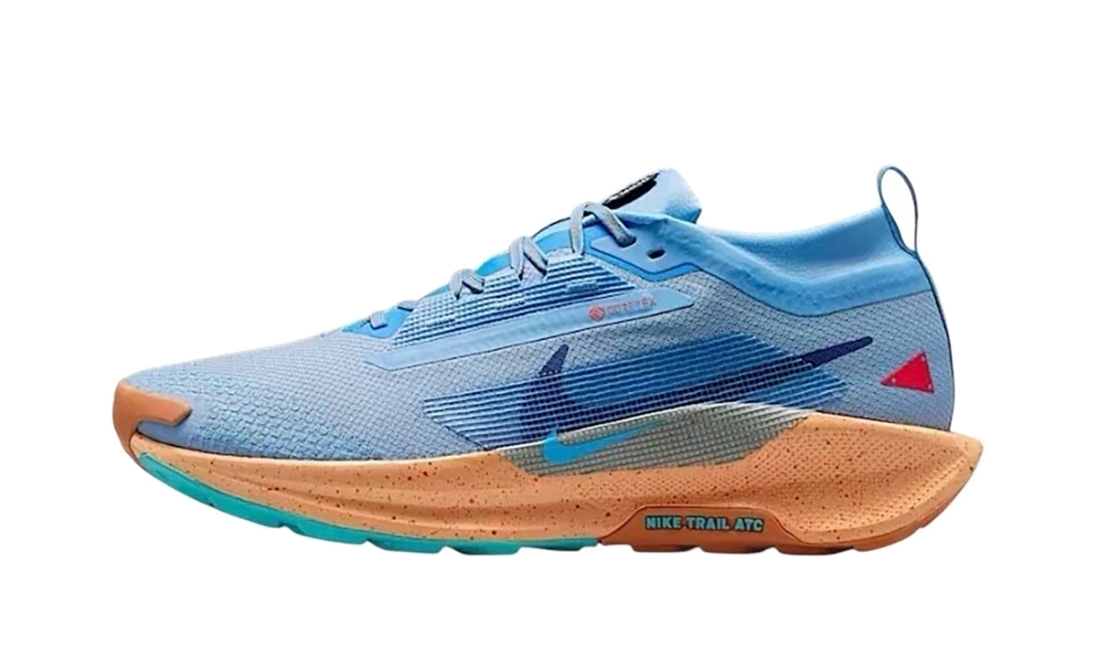 Pegasus Trail 5 Gore-Tex "Blue Beyond" FQ0908 400