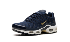 Air Max Plus "FFF" fb3350 400