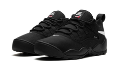 SB Darwin Low "Supreme - Black" FQ3000 001