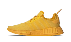 NMD R1 "Collegiate Gold" HP7826