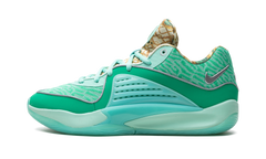 KD 16 "Wanda" DV2917 301