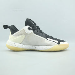 HARDEN STEPBACK 2