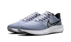 Air Zoom Pegasus 39 "Ashen Slate / Black" DH4071 401
