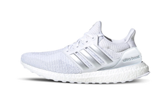 Ultraboost DNA "Silver Metallic" FW8692