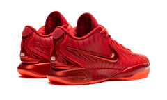 LeBron 21 "James Gang" HF5951 600