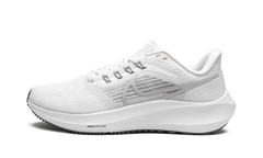 Pegasus 39 "Grey Fog" DH4071 100