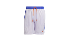 Summer Legend Basketball Shorts "Purple Tint" H24984
